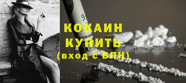 бошки Бородино