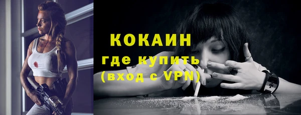 бошки Бородино