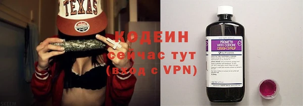 бошки Бородино