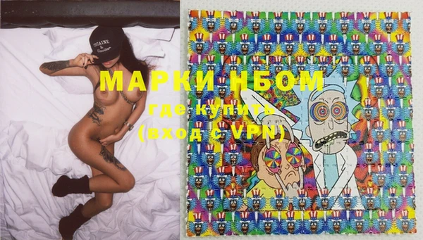 бошки Бородино