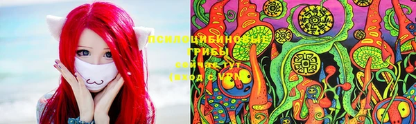 бошки Бородино