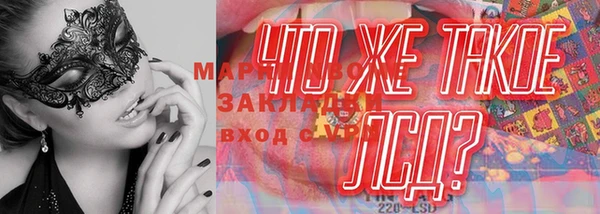 бошки Бородино