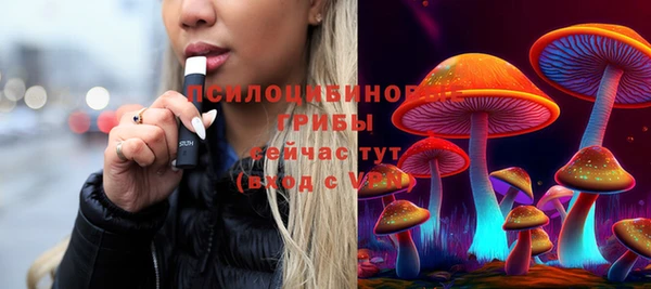 бошки Бородино