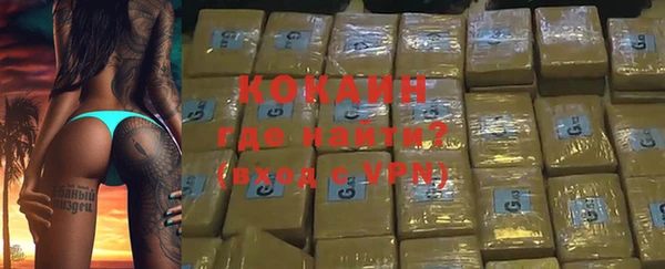 бошки Бородино